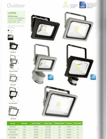 LORNE LED FLOOD LIGHT - Black / Silver