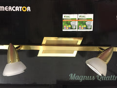 PROBE LED SPOTLIGHT