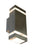 DIXON 2 LIGHT STAINLESS STEEL EXTERIOR WALL LAMP - Stanless Steel  / Black