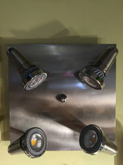 REALITY LED  SPOT LIGHT